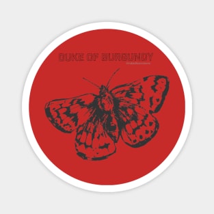 Duke of Burgundy Butterfly Magnet